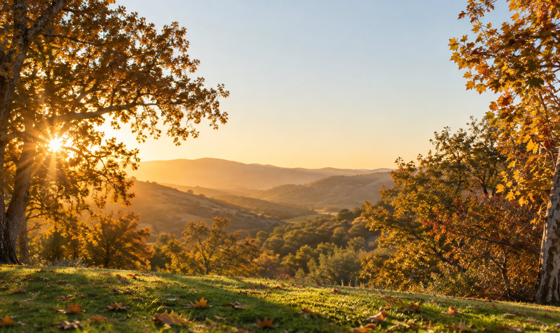 Broadview November spiritual activities calendar